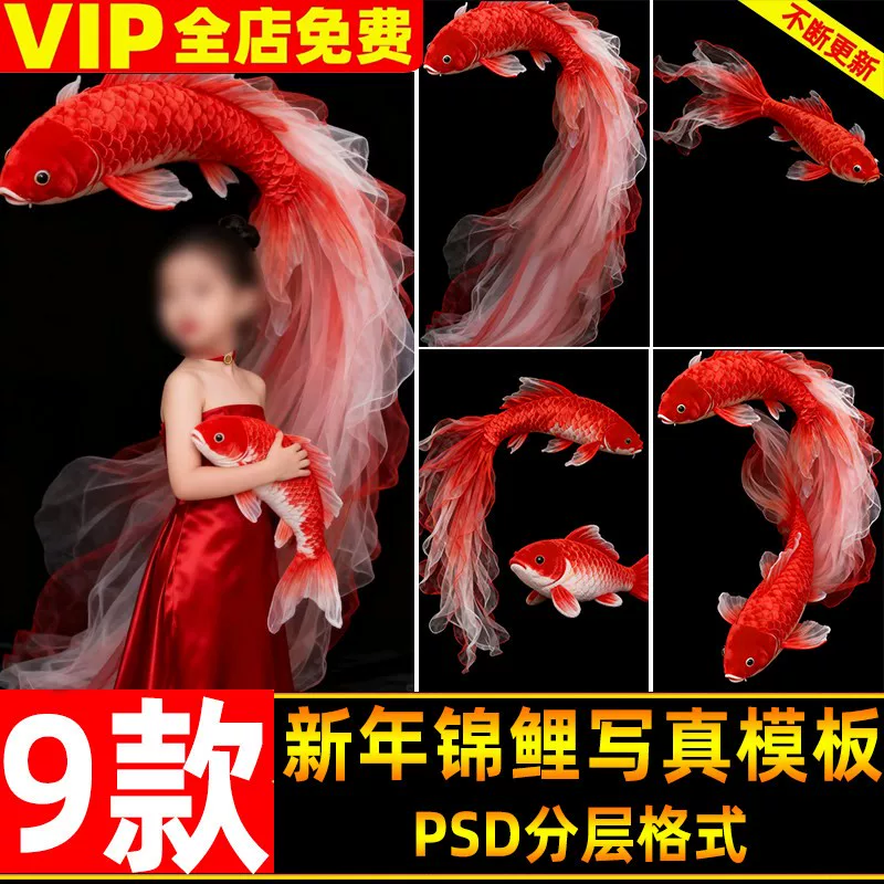 DL-014, Bộ 32 PSD tổng hợp mẫu cá chép Koi đỏ Tết may mắn – phong cách Trung Hoa, file PSD tách lớp