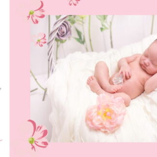 BA17, Bộ 6 PSD nhiếp ảnh baby"Gift of love"