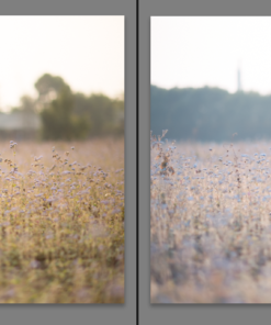 Screenshot 5 1