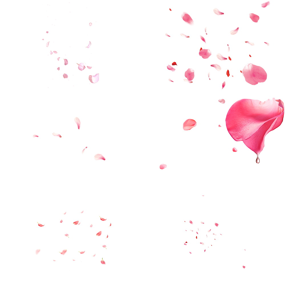 Hoa Đào (Cherry Blossom): Hoa đào là loài hoa thanh cao và tinh tế, biểu tượng cho sự tươi trẻ và sự đổi mới. Hãy chiêm ngưỡng những bông hoa đào tuyệt đẹp và cảm nhận sự sảng khoái và yên bình trong tâm hồn. (Translation: Cherry blossom is a noble and delicate flower, a symbol of freshness and renewal. Let\'s admire beautiful cherry blossoms and experience refreshment and peace in our souls.)