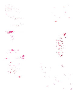 screen2 12