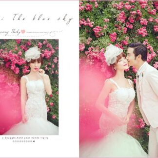 Wed-012x, Bộ 50 file PSD mẫu thiết kế album cuối năm 2019 dành cho studio khổ đứng