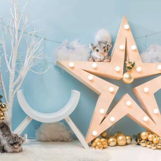 80772242 495402594426546 6360213156484087808 o