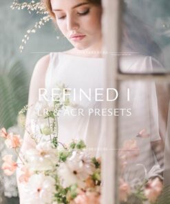 wedd 1