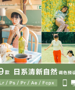 Preset chan dung nhat ban