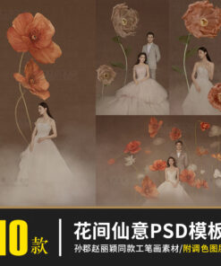 BG 5125 phong nen anh cuoi buc tranh co tich 1