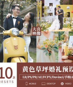 Preset D28 mau chan dung dam cuoi bai co vang 1