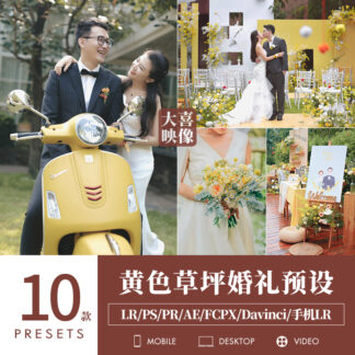 Preset D28 mau chan dung dam cuoi bai co vang 1