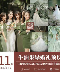 Preset D49 dam cuoi mau xanh la bo 1
