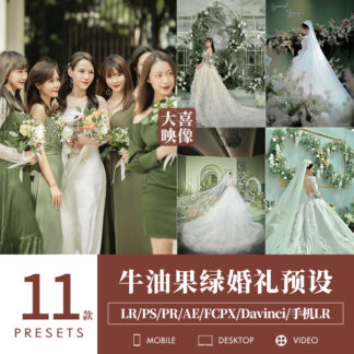 Preset D49 dam cuoi mau xanh la bo 1