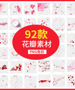 Canh hoa hong PNG 1