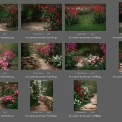 11 Rose Garden Backdrop
