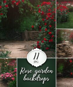 11 rose garden backdrop