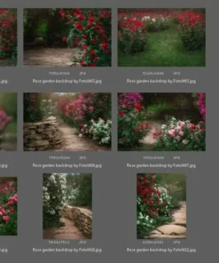 11 rose garden backdrop