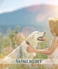 233 sunny day set 6