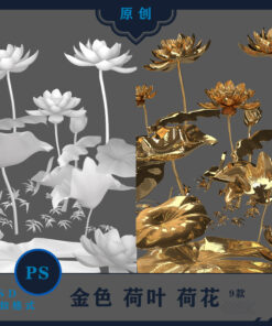 PNG 8919 hoa sen ghep anh quan am 1