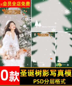 PSD 9580 phong nen bong cay thong ghep anh giang sinh 1