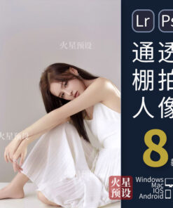 Preset 4040 chan dung mau xam han quoc 1