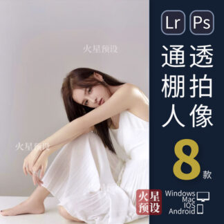 Preset 4040 chan dung mau xam han quoc 1