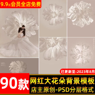 PSD 8587 mau hoa giay 3D khong lo PSD