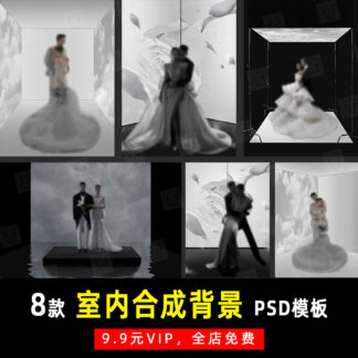 K831 Bo 8 PSD mau vat lieu thiet ke Vera ve dep Ji Zhiai do net cao trong nha vay cuoi khoi va bong toi