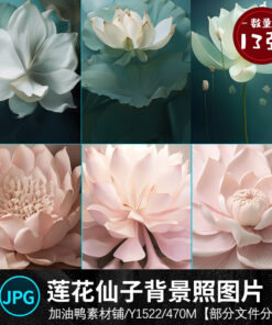 Y1522 Bo 13 PSD va anh JPG chat lieu nen ghep anh tre em ba bau chu de hoa sen than tien co tich