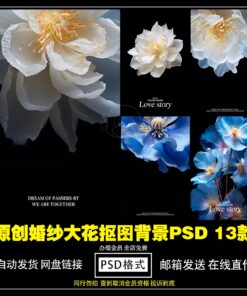 PSD 3771 Bo 13 PSD vat lieu thiet ke Vera studio mau hoa lon ghep nen anh vay cuoi dep