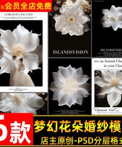 PSD 8970 Bo 6 PSD tai lieu thiet ke anh cuoi nang cao bau khong khi co tich hoa lon mo mong 2