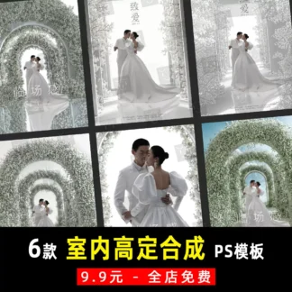 K916 Bo 6 PSD mau phong nen anh cuoi trong nha cao cap Vera vom hoa lon mau trang do net cao 