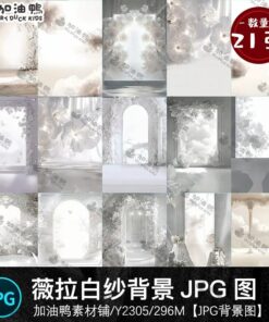 Y2305 Bo 21 anh JPG chat luong cao chat lieu nen anh cuoi cap doi mau trang Vera phong cach chau Au 2