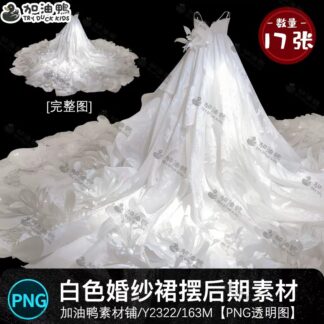 Y2322 Bo 17 PNG chat lieu thiet ke trong suot vay cuoi mau trang gac ghep anh hau ky dam cuoi 2