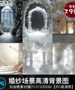 Y2373 Bo 29 JPG do net cao chat lieu nen anh chan dung anh cuoi Vera mau trang voi cot La Ma 2