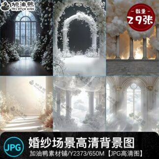 Y2373 Bo 29 JPG do net cao chat lieu nen anh chan dung anh cuoi Vera mau trang voi cot La Ma 2