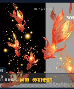 3png 056 1 Bo 30 PNG chat luong cao tach nen trong suot ca koi ca vang ca do phong cach co xua 2