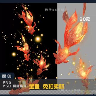 3png 056 1 Bo 30 PNG chat luong cao tach nen trong suot ca koi ca vang ca do phong cach co xua 2