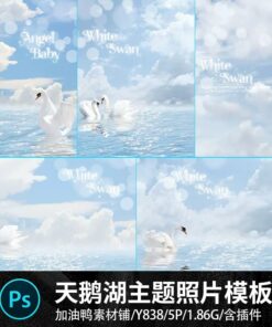 Y838 Bo 5 PSD vat lieu thiet ke nen anh tre em studio chu de Ho Thien Nga Swan Lake giac mo thien than 2