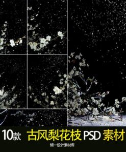 BG 0146 Bo 10 PSD vat lieu nen hoa le giang sinh canh tuyet phong cach Hanfu co xua Trung Quoc 2