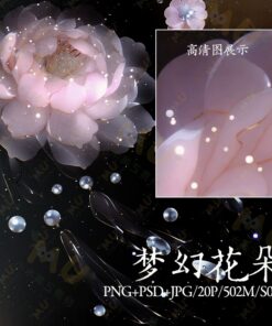 S003 Bo 20 PSD tai lieu thiet ke ap phich nghe thuat do net cao hoa hong phong cach co xua Hanfu 2