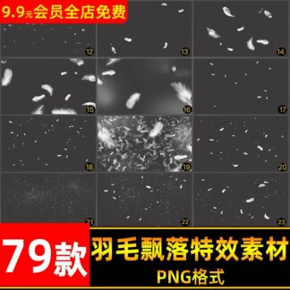 PNG 2118 Bo 79 PNG vat lieu thiet ke lop phu hieu ung dac biet long vu roi trang tri anh studio 2