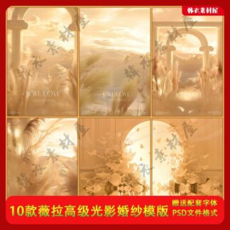 BG 1701 Bo 10 PSD mau thiet ke nen anh cuoi Vera cao cap hoang hon voi cot La Ma hoa lon cay lau say 1