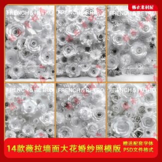 BG 2537 Bo 14 PSD nen anh cap doi anh cuoi Vera style chat lieu hoa giay nen tuong anh sang va bong toi 2