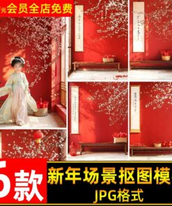 JPG 4440 Bo 6 JPG do net cao chat lieu cat ghep nen hoa dao va cau doi trong nha don tet nam moi 2025 2