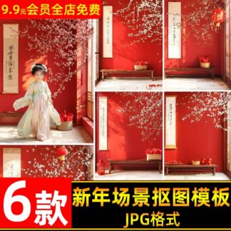 JPG 4440 Bo 6 JPG do net cao chat lieu cat ghep nen hoa dao va cau doi trong nha don tet nam moi 2025 2