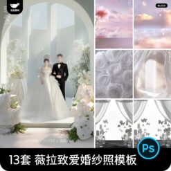 PSD 5044, Bộ 13 PSD mẫu nền ghép hậu kỳ ảnh cưới, cặp đôi studio Vera style nâng cao sang trọng thanh lịch (1)