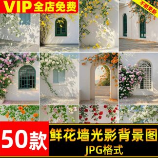 BG 6331, Bộ 50 JPG chất lượng cao hình nền hậu kỳ hoa đổ bóng trên bờ tường tuyệt đẹp ghép ảnh cưới, ảnh studio (2)