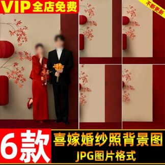 JPG 7209, Bộ 6 JPG chất lượng cao mẫu nền ảnh cưới trong nhà theo phong cách tối giản mới của Trung Quốc (2)