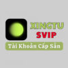 Xingtu Svip 1 tháng cao cấp – gói full tính năng chỉnh ảnh chân dung đẹp tự nhiên cho 1 thiết bị di động