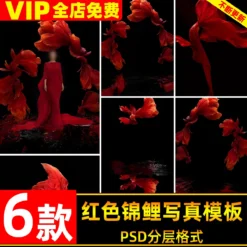 DL-014, Bộ 32 PSD tổng hợp mẫu cá chép Koi đỏ Tết may mắn – phong cách Trung Hoa, file PSD tách lớp (1)