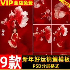 DL-014, Bộ 32 PSD tổng hợp mẫu cá chép Koi đỏ Tết may mắn – phong cách Trung Hoa, file PSD tách lớp (2)