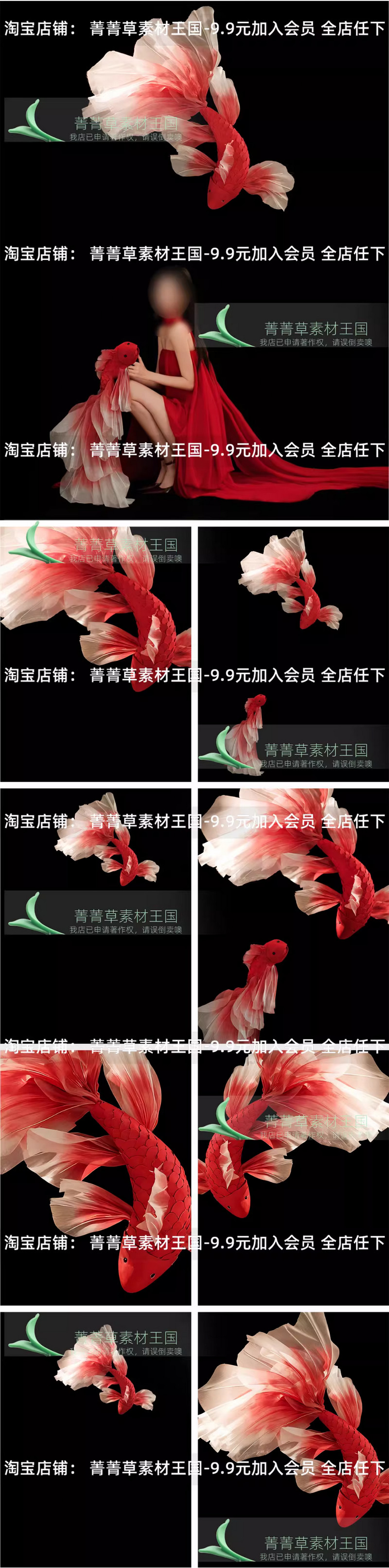 DL-014, Bộ 32 PSD tổng hợp mẫu cá chép Koi đỏ Tết may mắn – phong cách Trung Hoa, file PSD tách lớp (3)